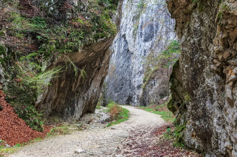 Descoperă traseul Prăpăstiile Zărneștilor: Priveliști uimitoare și ce trebuie să știți