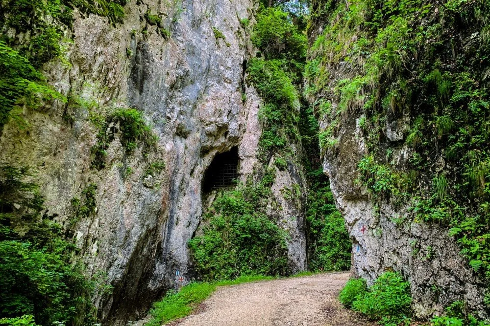 Poteca Prăpăstiile Zărneștilor